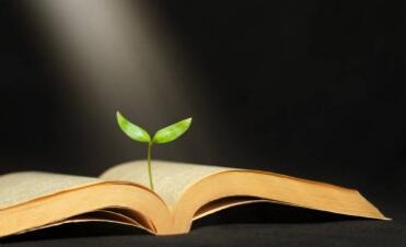 1560216445438622.jpg 10.jpg