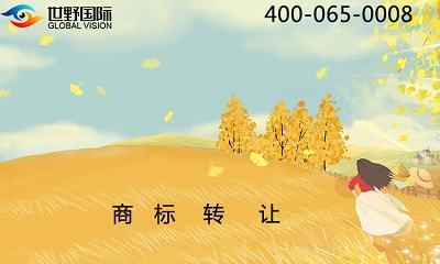 跨境电商如何注册美国商标图片