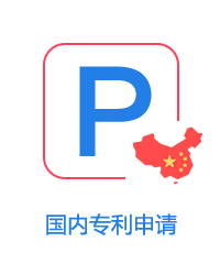 国内专利申请图片